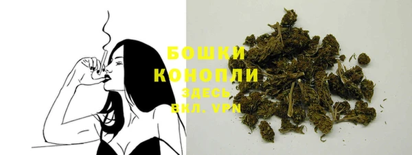 метадон Новодвинск