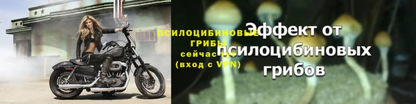 метадон Новодвинск