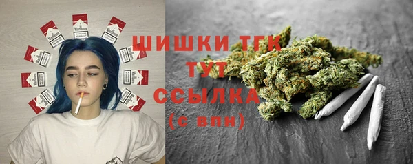 метадон Новодвинск
