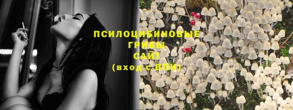 герыч Новозыбков