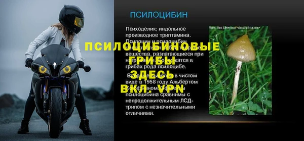 герыч Новозыбков