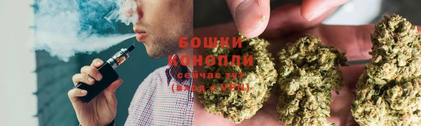 метадон Новодвинск
