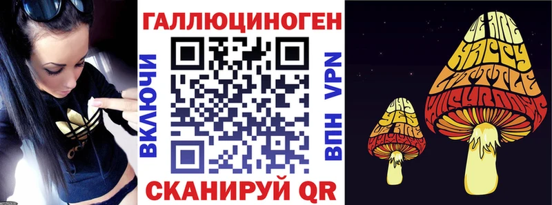 KRAKEN зеркало  Кувандык  Галлюциногенные грибы Cubensis  хочу  