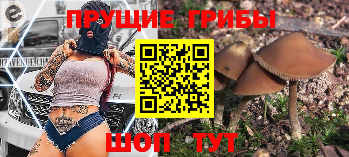 Кувандык  Псилоцибиновые грибы MAGIC MUSHROOMS  Вход с VPN  Галлюциногенные грибы Psilocybe 