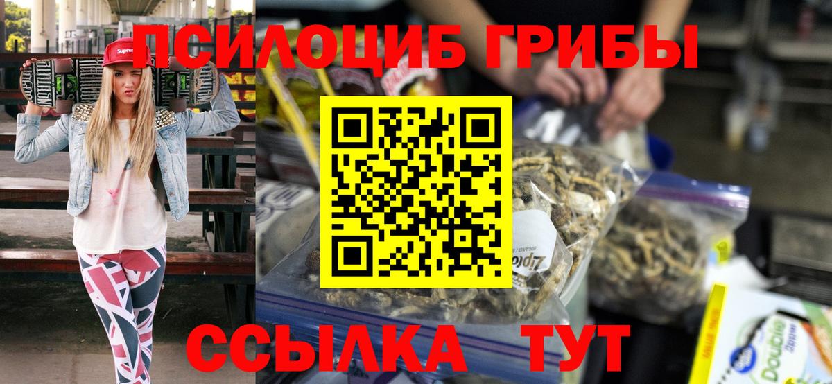 Псилоцибиновые грибы Cubensis Кувандык