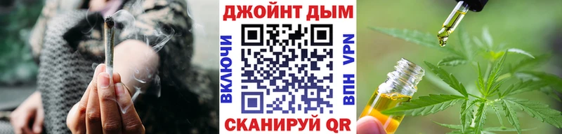 Каннабис гибрид  Кувандык 